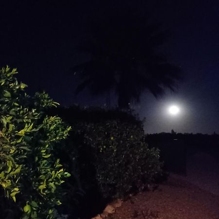 La Buganvilla, Descanso Entre Olivares Орначуэлос Экстерьер фото