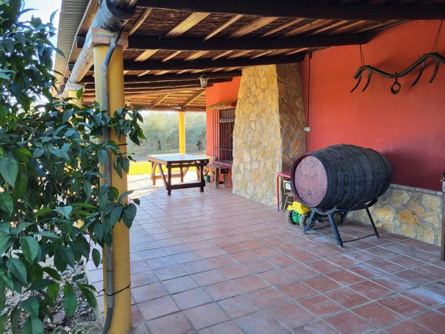 La Buganvilla, Descanso Entre Olivares Орначуэлос Экстерьер фото